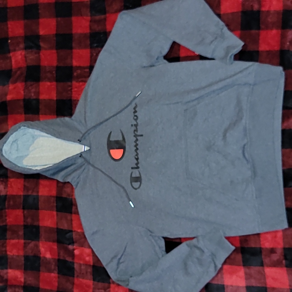 Y2k. CHAMPION. Hooded Sweatshirt. Like-new. Size Large.